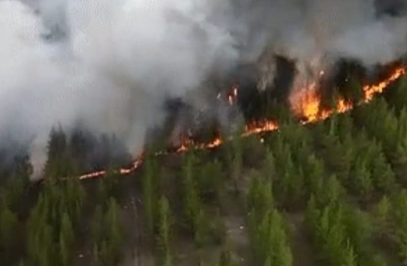 В области Абай горит уже 30 тысяч гектаров леса