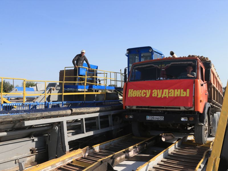 Коксуский сахарный завод принял первые тонны сахарной свеклы