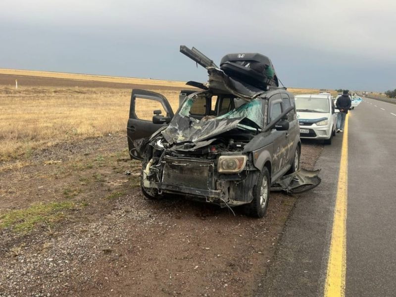 Лошадь спровоцировала ДТП на трассе «Алматы-Оскемен»