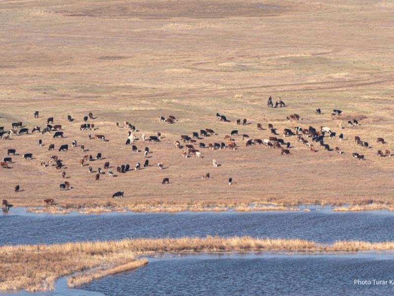 Вода может стать дороже, чем бензин - казахстанский эколог