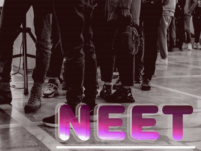 Сельской молодежи поколения NEET окажут помощь