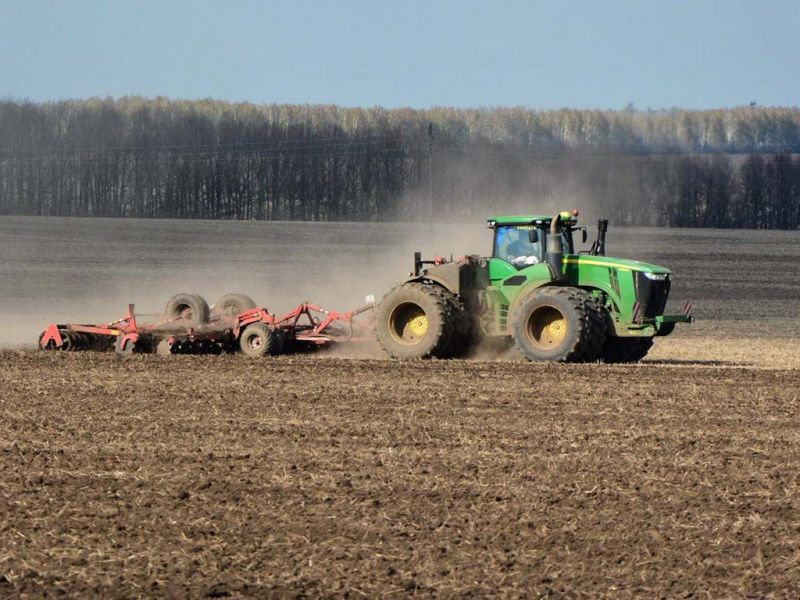 Весенне-полевые работы: в Кербулакском районе посевная площадь сельхозкультур составляет около 118 тысяч га