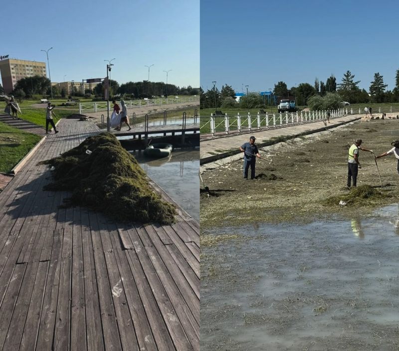 Талдыкорганский пляж очищен от мусора в рамках акций «Таза Қазақстан» и «Таза Бейсенбі»