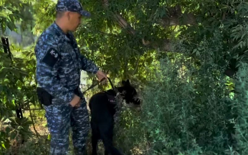 Полицейские Жетісу нашли двух пропавших детей