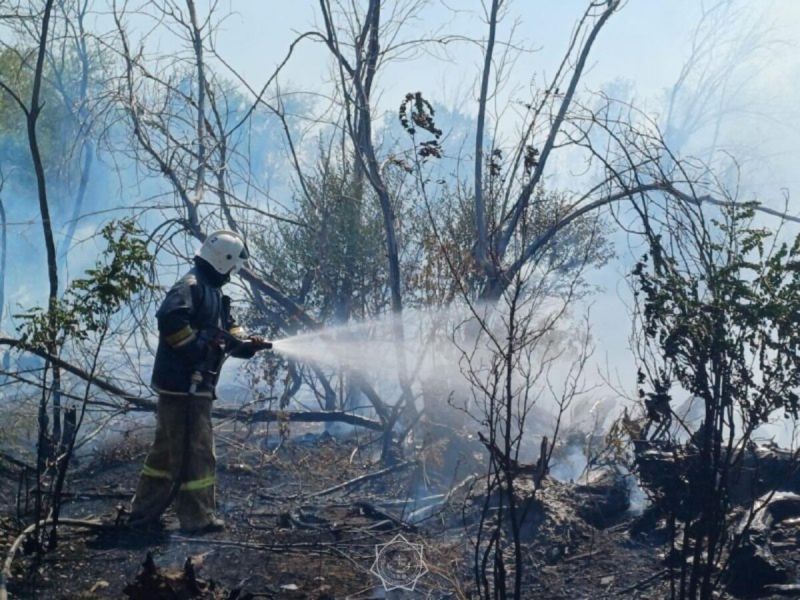 В области Жетісу потушили возгорание сухой травы