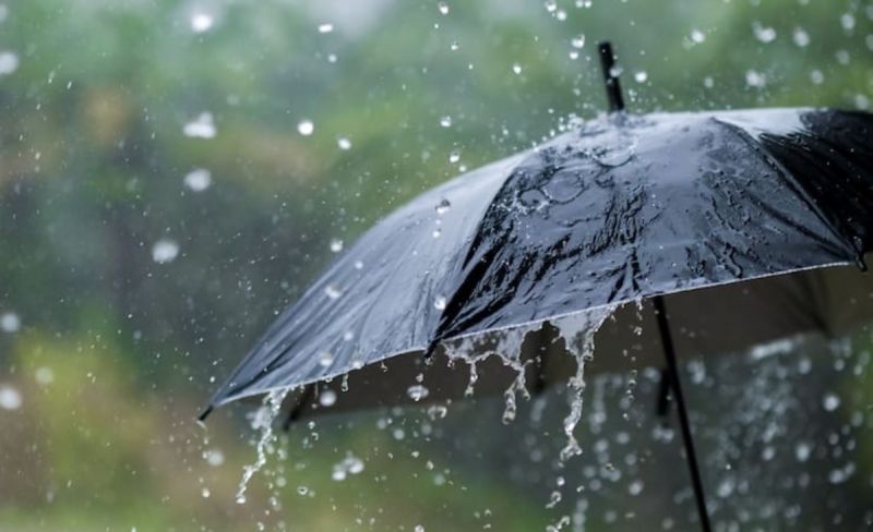 Штормовое предупреждение: сильный дождь и ветер в Жетісу
