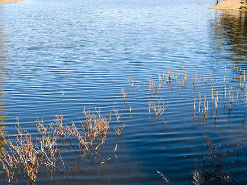 ДЧС области Жетісу предупреждает об угрозе паводков на реках