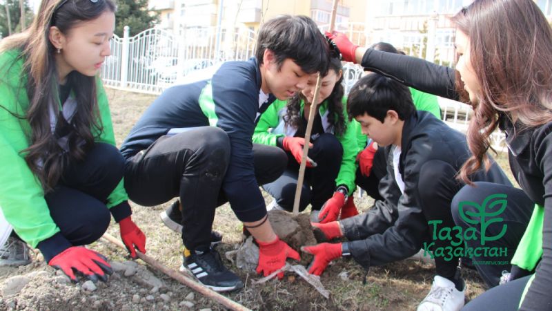 «Таза Қазақстан»: Аллея выпускников НИШ Талдыкоргана пополнилась новыми деревьями