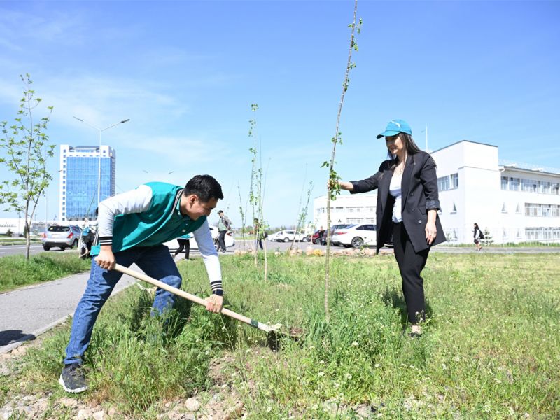 «Жасыл аймақ»: в новом микрорайоне Талдыкоргана высажено 200 молодых деревьев