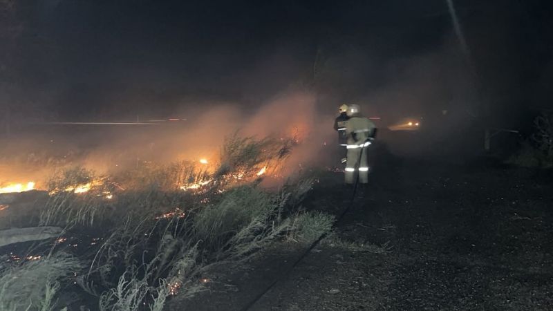 В Жетісу потушили крупный пожар сухой травы: огонь охватил 2 гектара