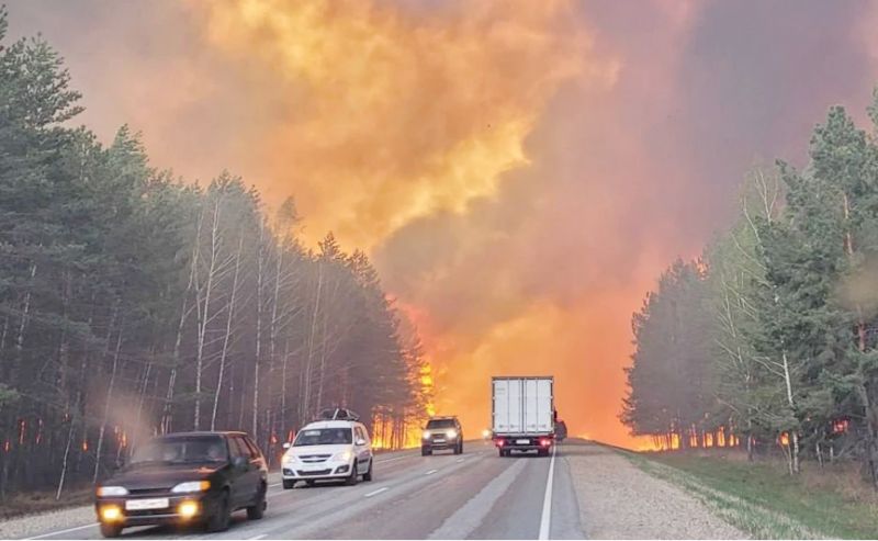 Пожары охватили несколько регионов России: горит минимум 60 тысяч гектаров леса