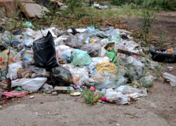 Талдыкорганца уличили в загрязнении экологии