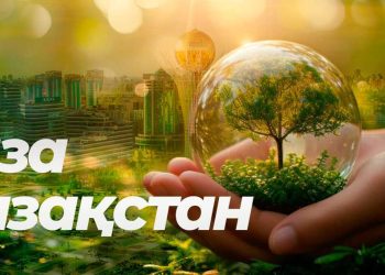 Центр «Шапағат» озеленяют в Текели