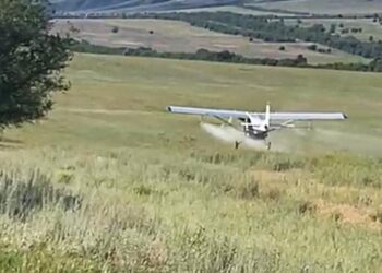 Борьбу с саранчой активизировали в Жетiсу