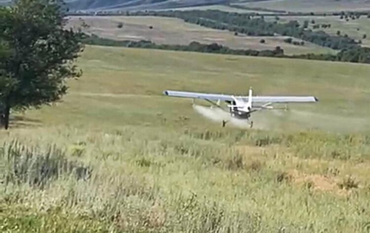 Борьбу с саранчой активизировали в Жетiсу