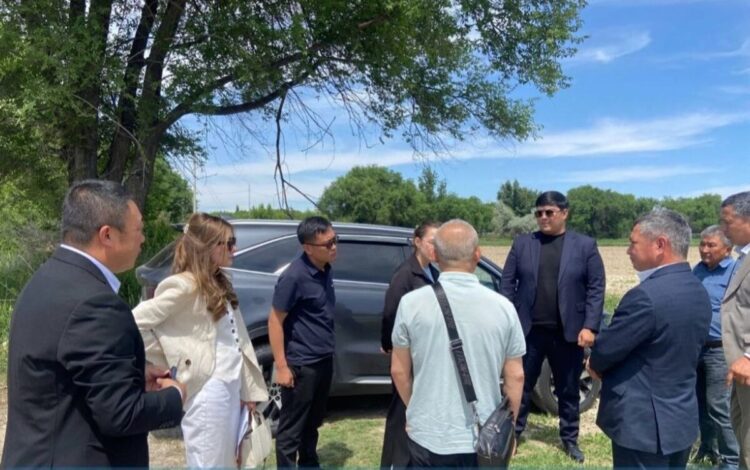 Делегация китайской компании «Yuwang Group» посетила Жетісу