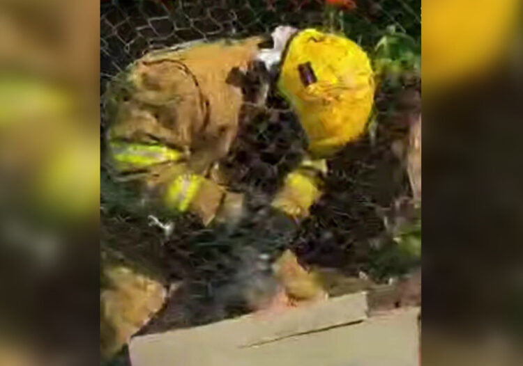 Пожарный из Саркана Айдын Дайынов спас собаку из огня