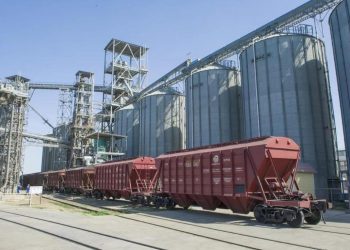 Экспорт зерна нового урожая достиг 7,6 млн тонн