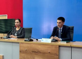 Как проводится камеральный контроль