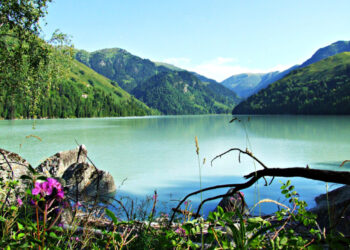 Национальный парк «Жонгар Алатау»: Откройте для себя одно из семи чудес Жетісу