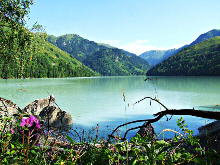 Национальный парк «Жонгар Алатау»: Откройте для себя одно из семи чудес Жетісу