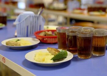 Новый стандарт питания внедряют в школьных столовых