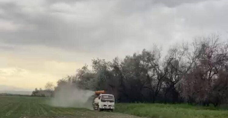 В Жетiсу продолжают обрабатывать поля от саранчи