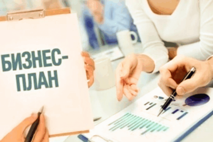 Нарушения в использовании грантов для бизнеса выявили в Талдыкоргане