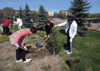 «Таза Қазақстан»: Зеленей, наш край родной