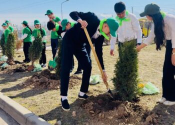 «Таза Қазақстан»: Озеленение –  масштабная кампания
