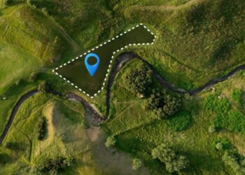 В Жетісу государству возвращено земельных участков на 100 миллионов тенге