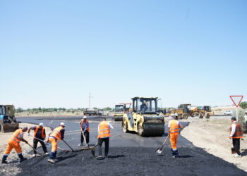 Мобильное приложение и электронный сайт отслеживания состояния дорог запустят в Жетісу