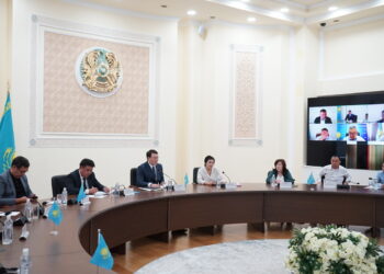 В Жетісу выявлены нарушения в применении и размещении госсимволов