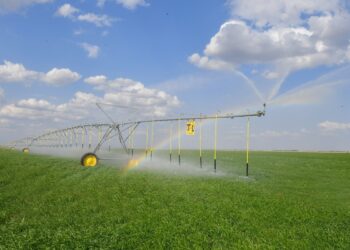 В области Жетісу активно применяются водосберегающие технологии