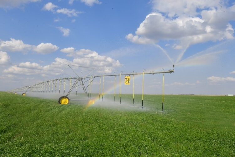 В области Жетісу активно применяются водосберегающие технологии