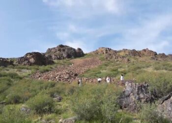 Строительство ГЭС в Жетісу не несет угрозу петроглифам Ешкиольмес