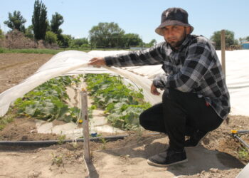 Трудовые традиции каратальцев