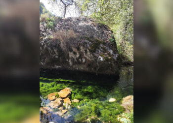 Место в Жетісу, где природа говорит шёпотом