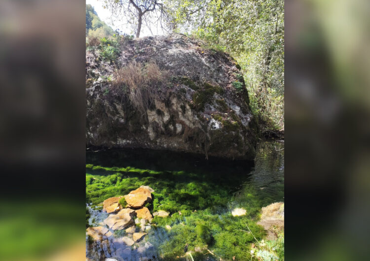 Место в Жетісу, где природа говорит шёпотом