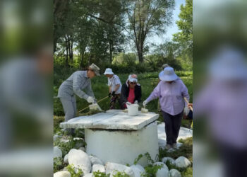 «Чистый четверг» в Ескельдинском районе: природа благодарит