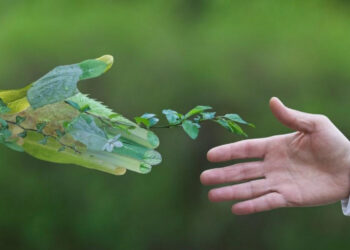 Какая работа проводится в Жетісу для улучшения экологической ситуации