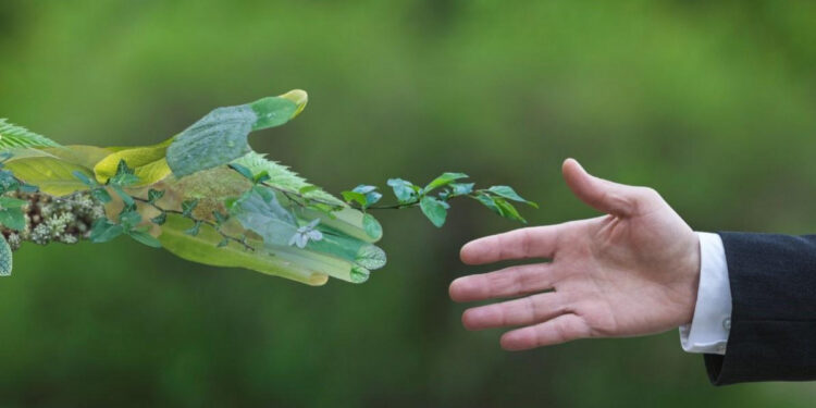 Какая работа проводится в Жетісу для улучшения экологической ситуации