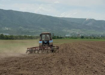 В Ескельдинском районе завершили посевную кампанию