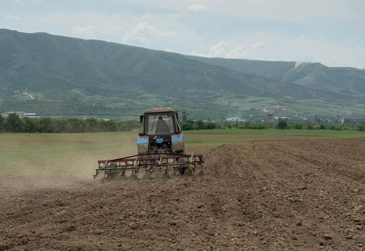 В Ескельдинском районе завершили посевную кампанию