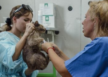 С заботой о братьях наших меньших