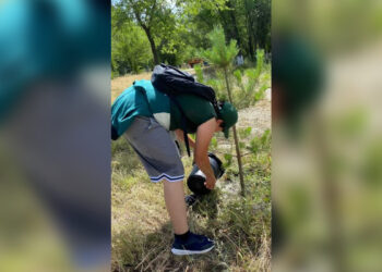 Как проходит XXI трудовой сезон отрядов «Жасыл ел» в Жетісу