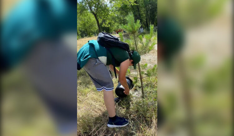 Как проходит XXI трудовой сезон отрядов «Жасыл ел» в Жетісу