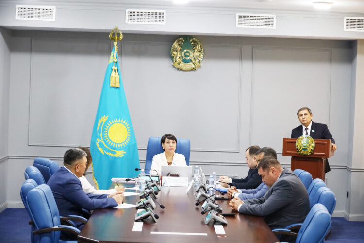 Проблемные вопросы Жетісу обсудили с сенаторами