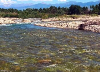 Жители Талдыкоргана обеспокоены обмелением реки Каратал