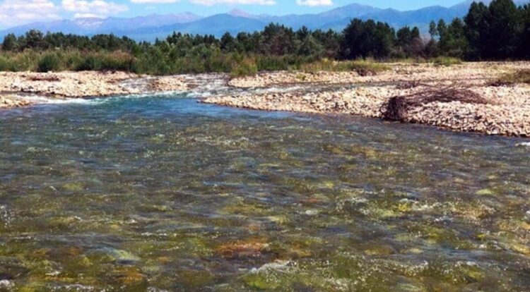 Жители Талдыкоргана обеспокоены обмелением реки Каратал